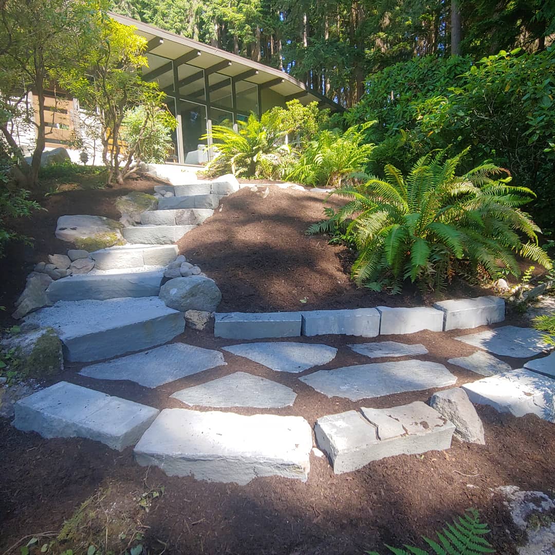 Stone pathway through landscaped garden with ferns and greenery. Modern home in background.