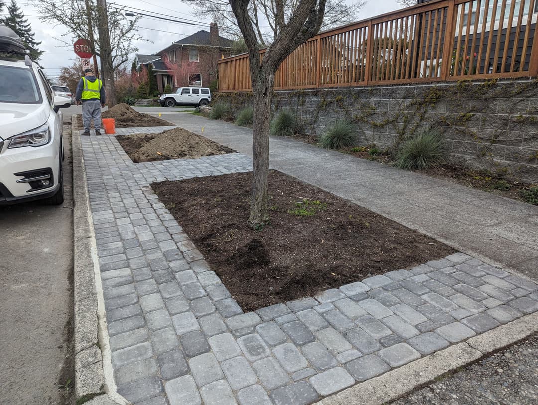 Landscape renovation with cobblestone path, tree, and construction worker preparing soil.