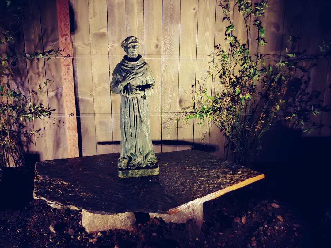 statue of a saint on a stone pedestal illuminated at night in a garden setting.