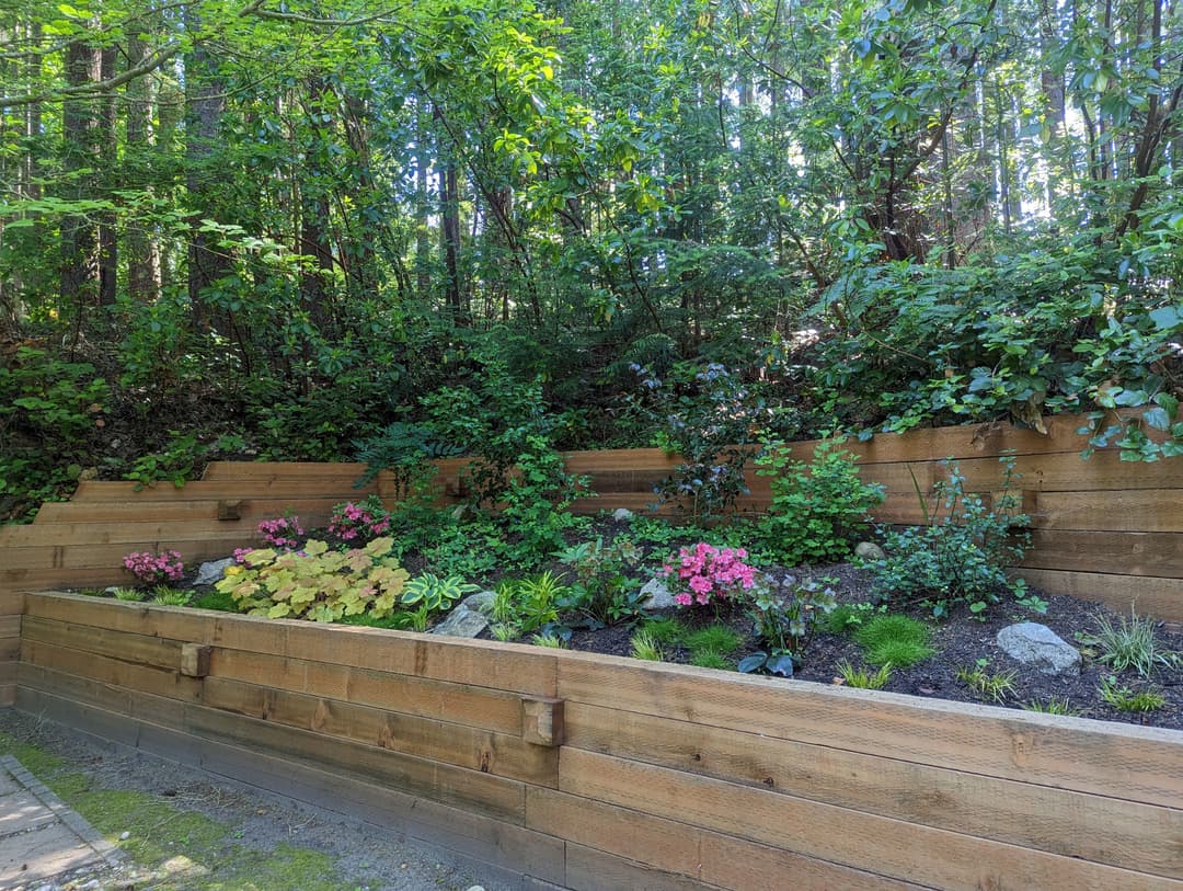 Lush garden with colorful flowers and greenery in a wooden retaining wall landscape.
