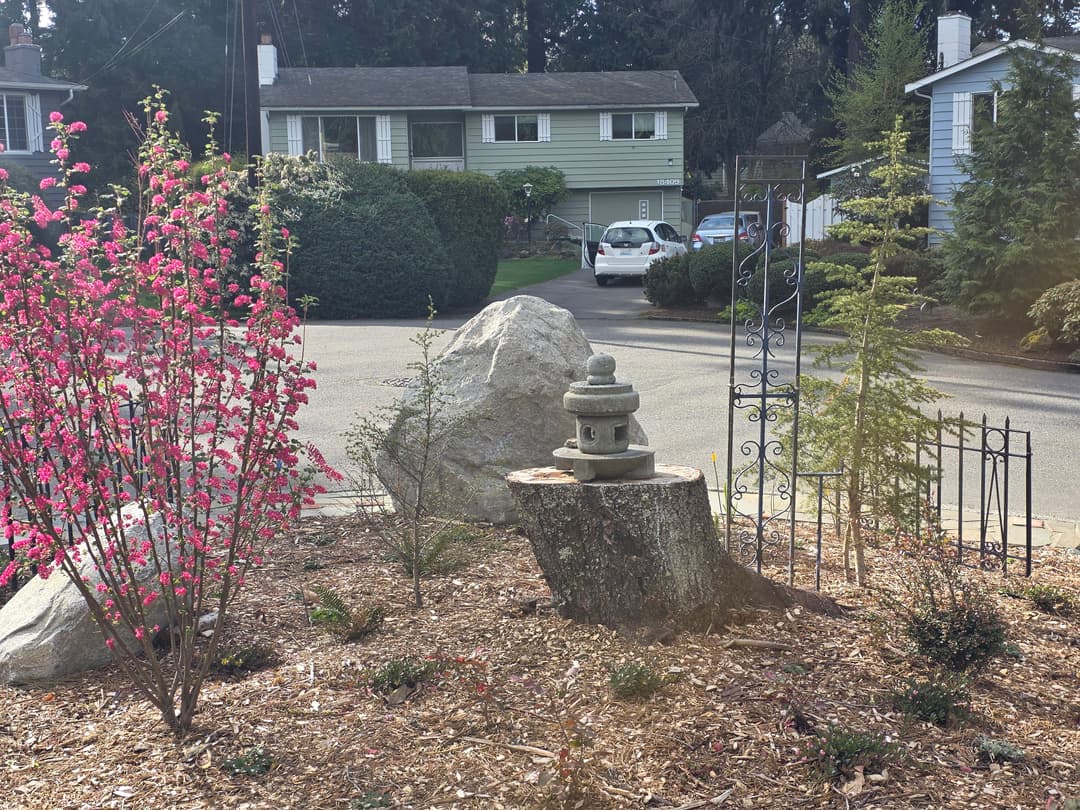 Japanese stone lantern on a tree stump surrounded by flowering shrubs in a landscaped garden.