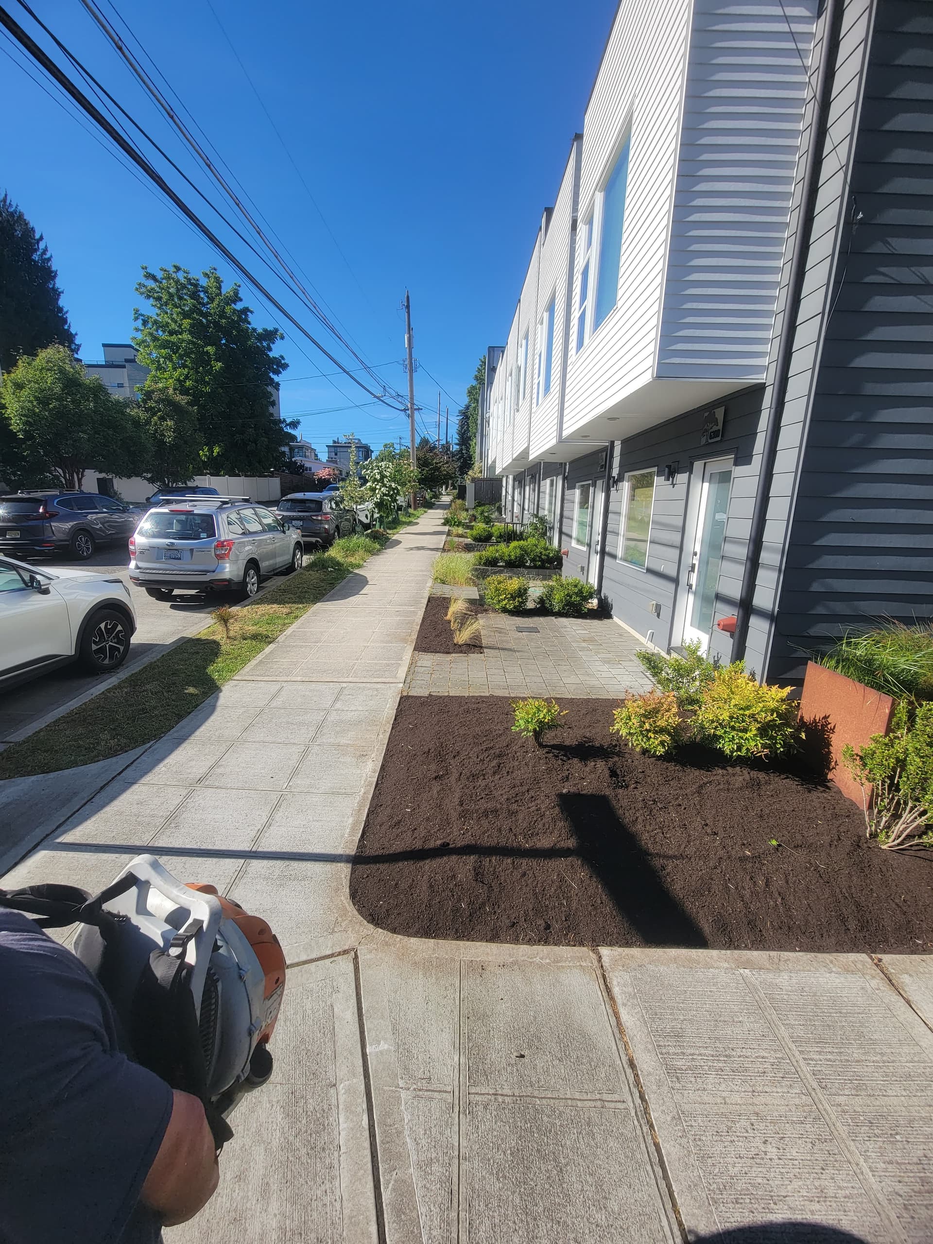 Gallery photos for Townhouse Garden Cleanup and Fresh Mulch Install: Image #1