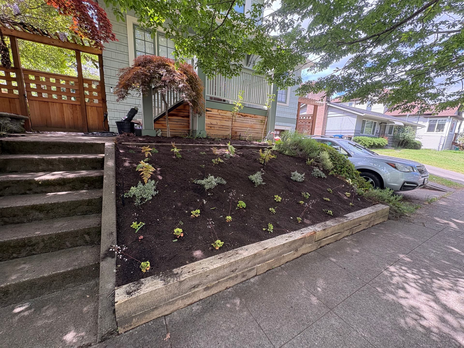 Gallery photos for Full Yard Refresh with New Plantings, Compost Mulch, and Packed Pots: Image #2