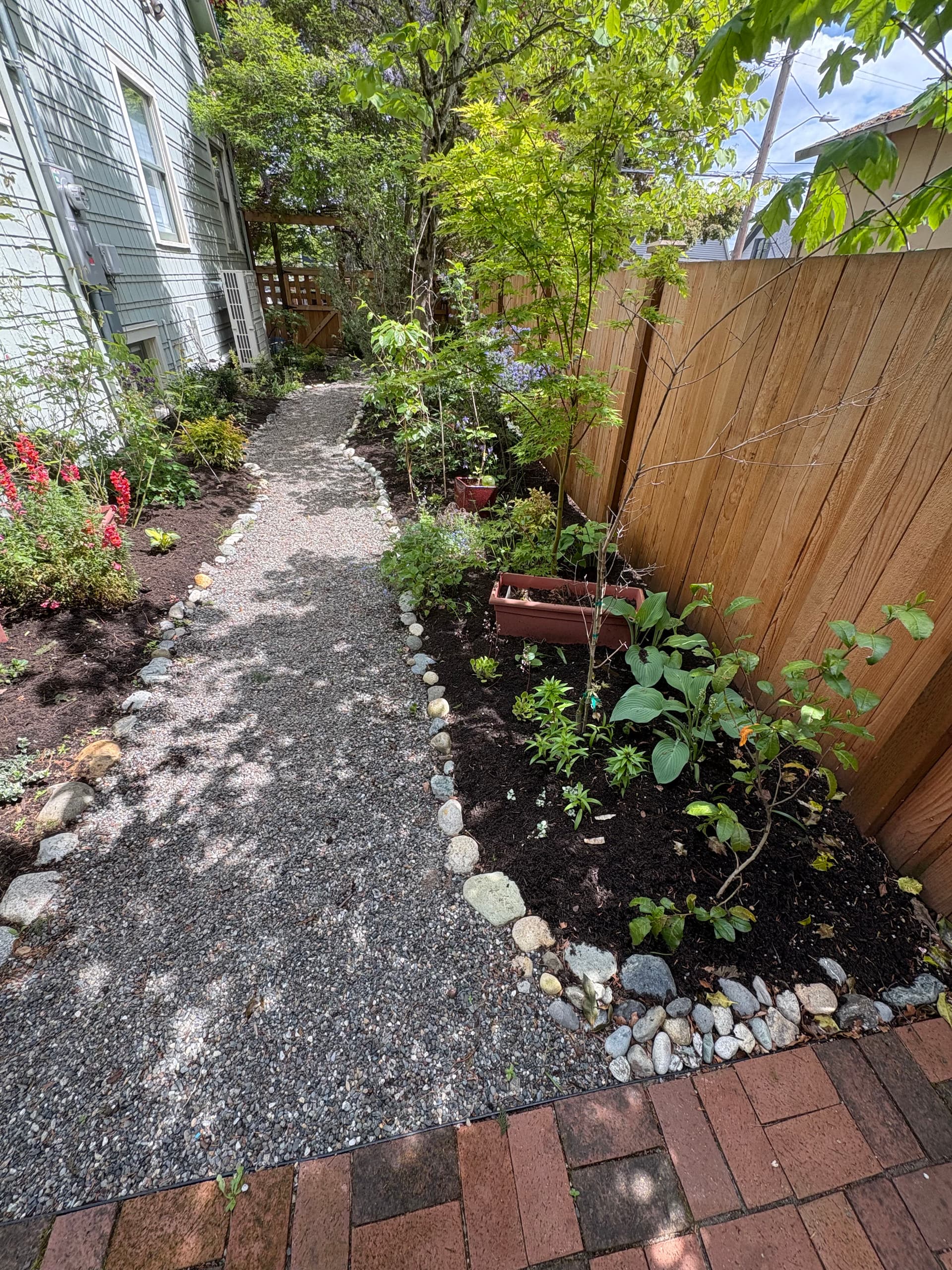 Gallery photos for Full Yard Refresh with New Plantings, Compost Mulch, and Packed Pots: Image #3
