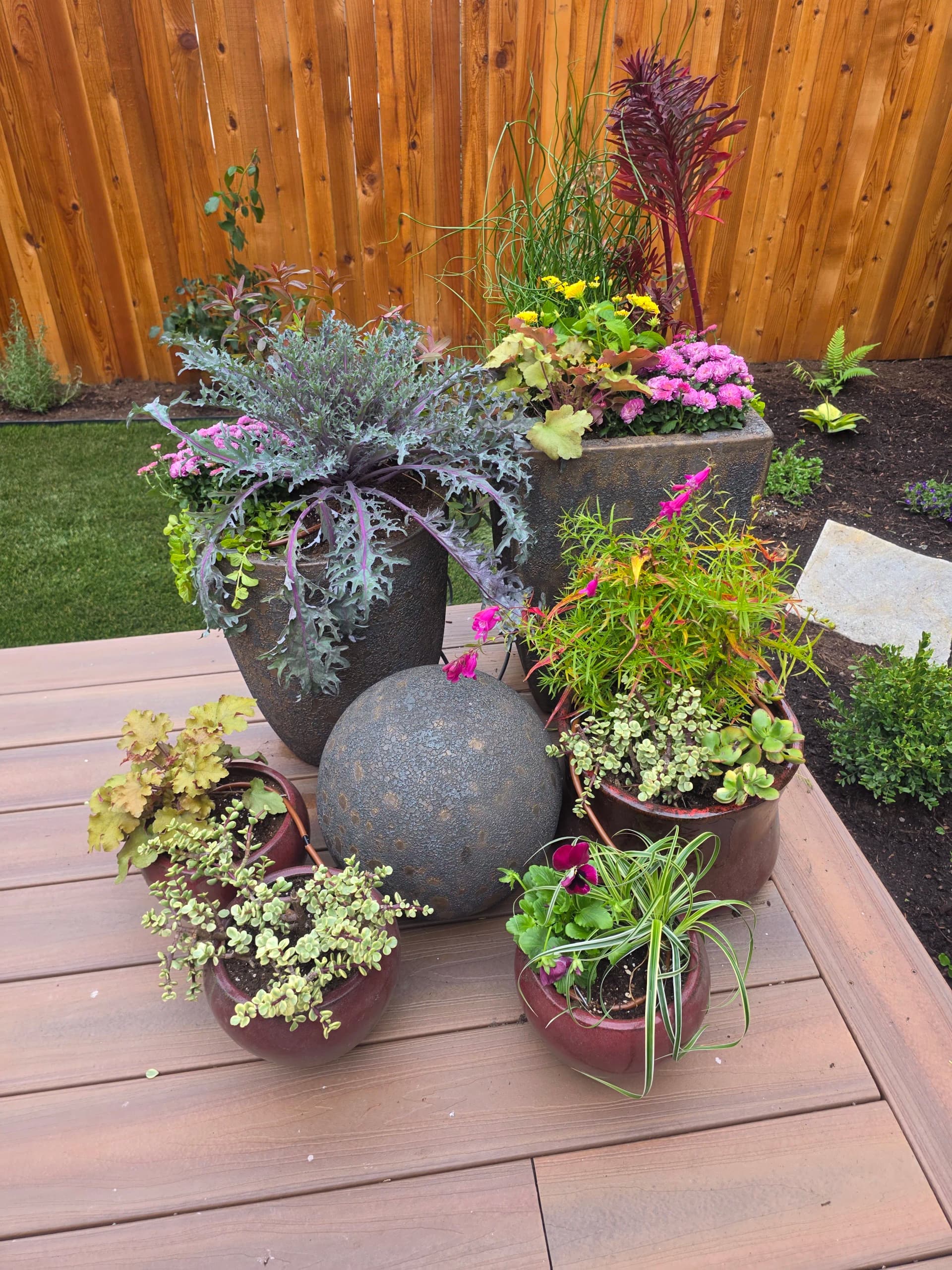 Gallery photos for Backyard Refresh With River Rock, Pavers, and Custom Plantings: Image #6