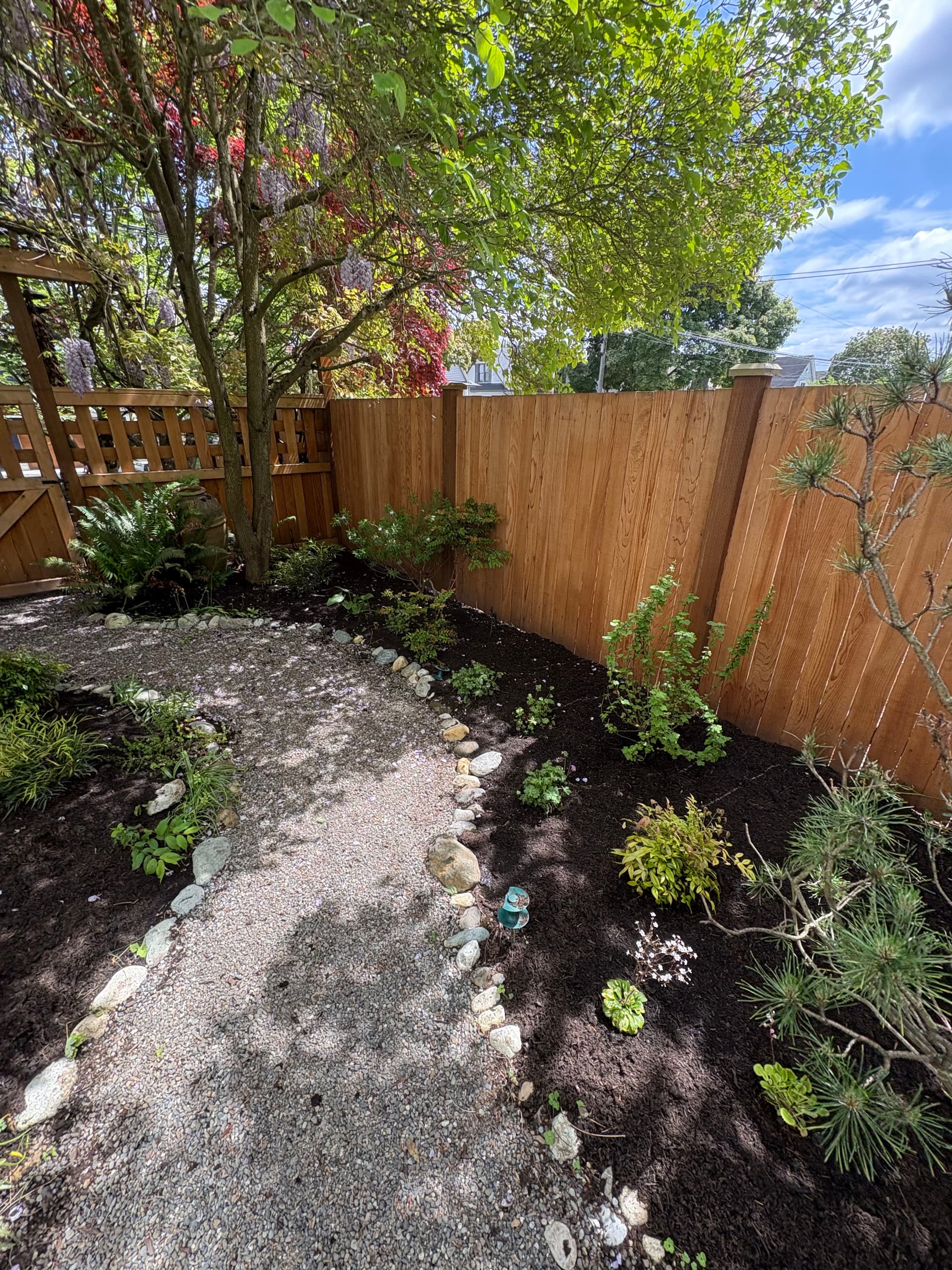 Gallery photos for Full Yard Refresh with New Plantings, Compost Mulch, and Packed Pots: Image #1