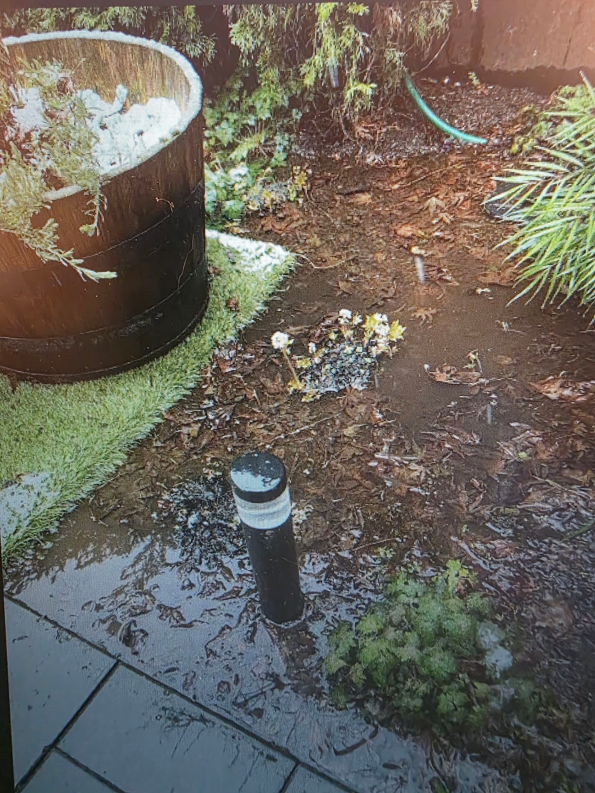 French Drain Fix That Turned a Swampy Backyard Around image