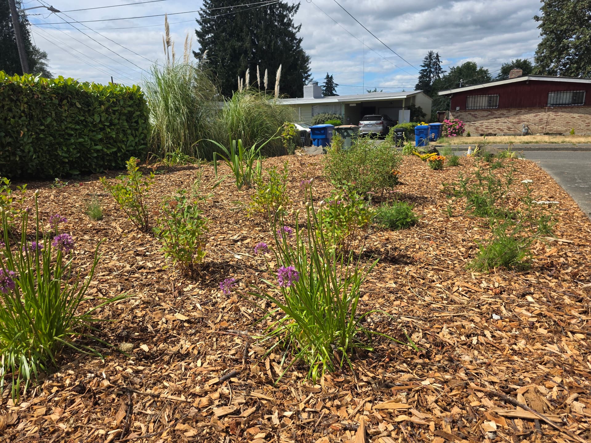 Gallery photos for Worn-Out Front Yard Gets a Native Planting Makeover: Image #8