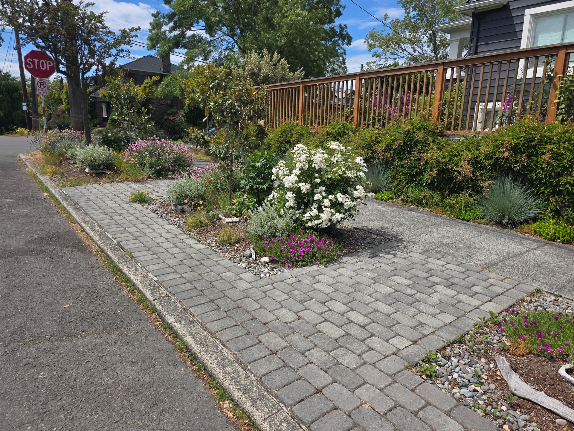 Street-Side Pavers and a Backyard Patio That Actually Gets Used image