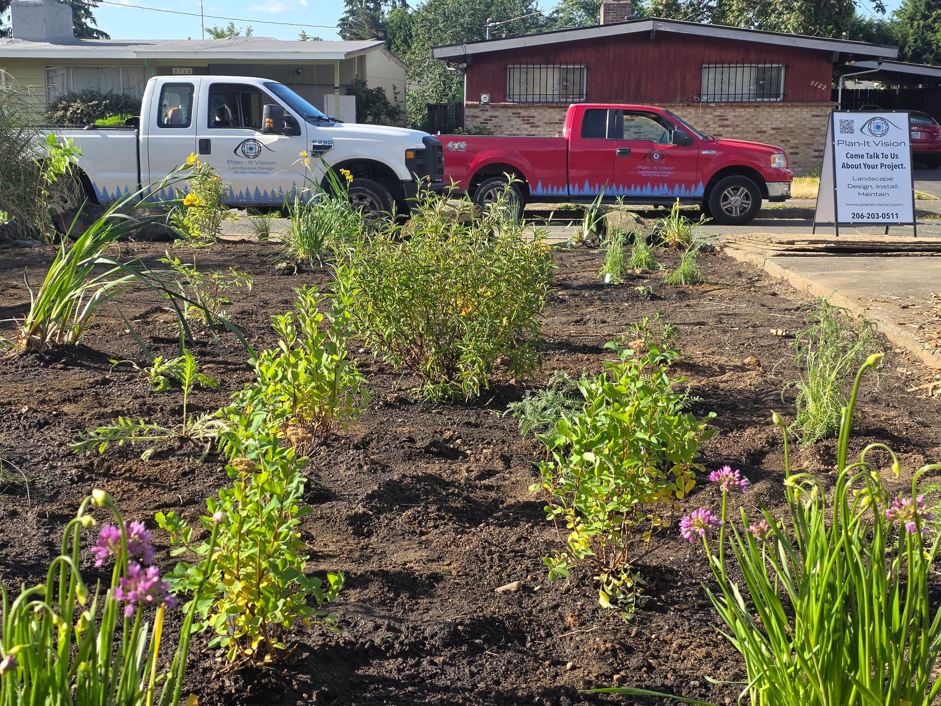 Gallery photos for Worn-Out Front Yard Gets a Native Planting Makeover: Image #5