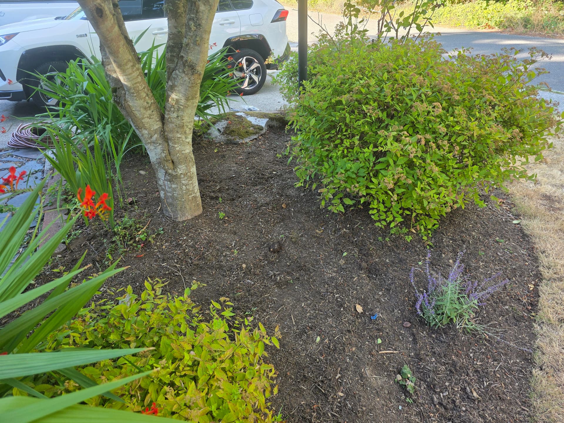 Gallery photos for Drip Irrigation That Hides in Plain Sight: Image #1