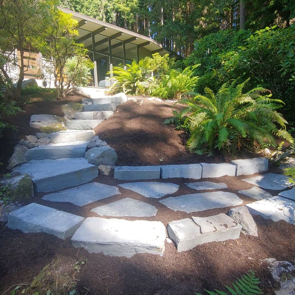 Stone pathway with ferns and landscaping leading to a modern home in a forested setting.